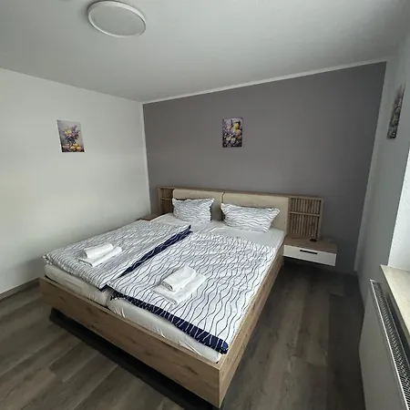 Zur Elsa Apartment *